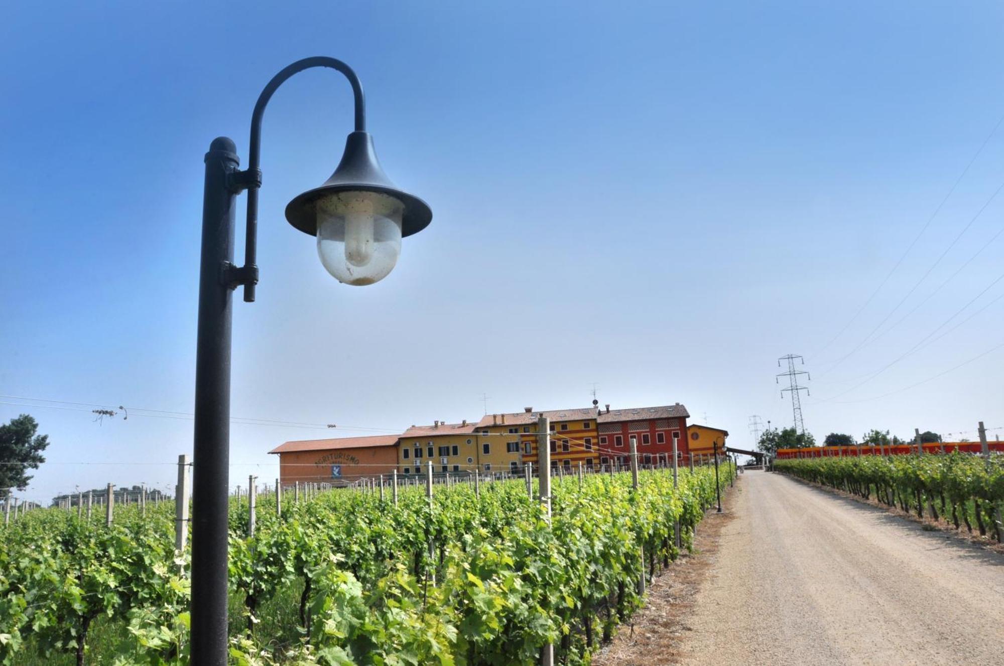 Agriturismo Dei Grippi Сона Екстериор снимка